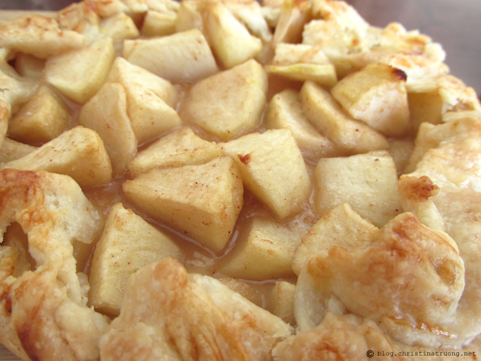 Quick and Easy Homemade Apple Crostata Recipe Perfect for Last Minute Thanksgiving Dessert